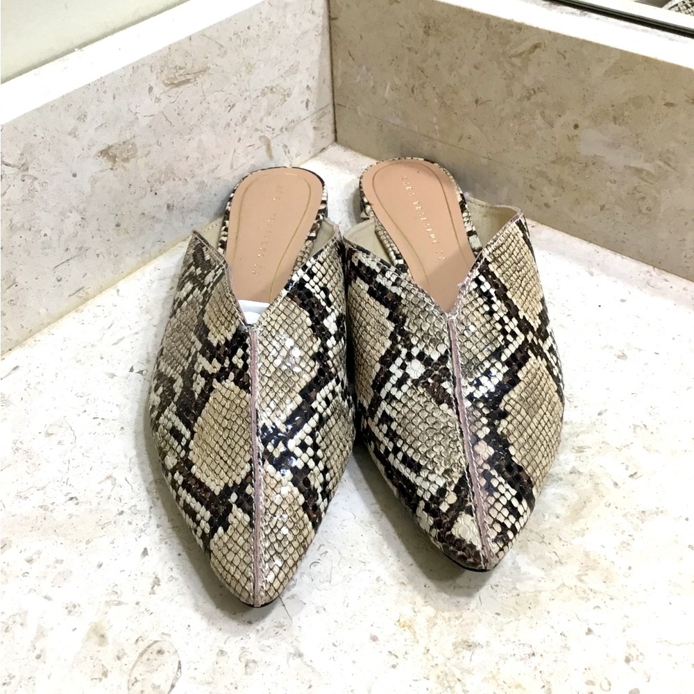 Zara Trafaluc animal print mule